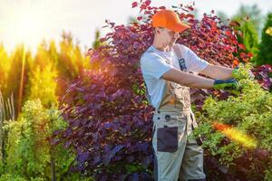 uomini assunzione cura di giardino foto