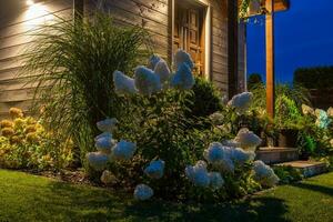 bellissimo fioritura arbusto nel il giardino foto