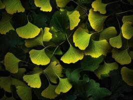 ginkgo biloba le foglie buio sfondo creato con generativo ai tecnologia foto