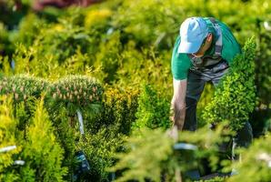 giardiniere acquisto nuovo impianti foto