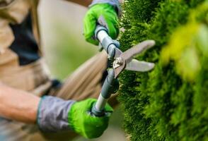 paesaggio e giardinaggio lavoratore con forbici nel il suo mani foto