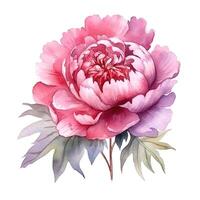 acquerello bellissimo peonia fiore. illustrazione ai generativo foto