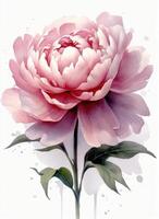 acquerello bellissimo peonia fiore. illustrazione ai generativo foto