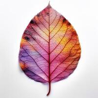 autunno foglia isolato. illustrazione ai generativo foto