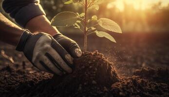 vicino su mano Tenere seme pianta piantare in crescita impianti nel natura, generativo ai foto