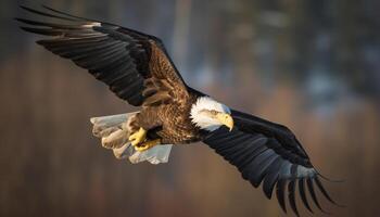 Calvo aquila si diffonde maestoso Ali nel medio aria, a caccia per pesce generato di ai foto