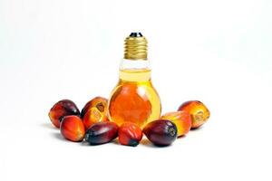 olio palma frutta lampadina bottiglia foto