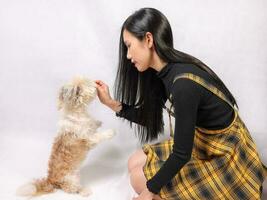 giovane attraente asiatico donna giocando alimentazione trucchi carino poco peloso cane foto
