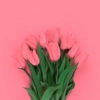 bouquet di tulipani su sfondo rosa tenue foto