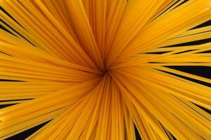 asciutto crudo spaghetti nero sfondo fioritura fiore Sunray splendore modello concetto foto