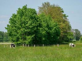 il villaggio di burlone nel westfalia foto