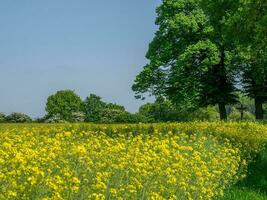 primavera tempo nel Germania foto