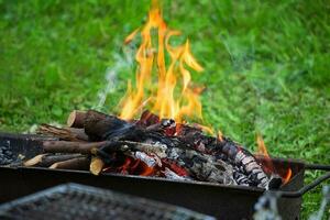 fuoco su ardente legna nel barbecue griglia su verde erba. riposo, fine settimana, cucinare foto