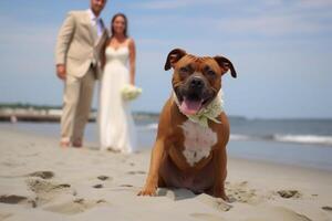 cane nel vero vita, contento momento con animale domestico ai generativo foto