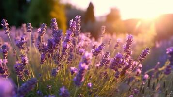 lavanda fiore campo. illustrazione ai generativo foto