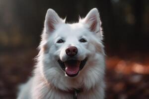 ritratto di un' bianca Samoiedo cane nel il autunno foresta ai generato foto