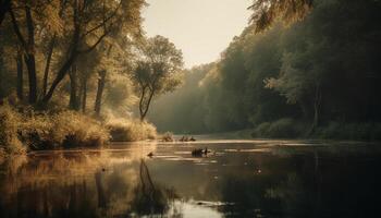 tranquillo scena di un' foresta stagno a alba con anatre generato di ai foto