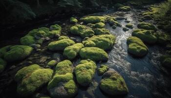 tranquillo scena di fluente acqua nel foresta generato di ai foto