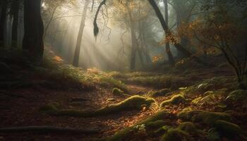 misterioso foresta, tranquillo scena, spaventoso bellezza generato di ai foto