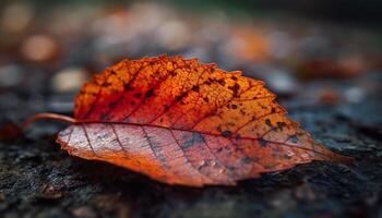 vivace autunno acero albero, giallo e arancia foglie, sfocato sfondo generato di ai foto