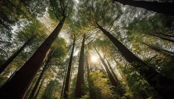 tranquillo natura selvaggia scena vivace autunno bellezza nel natura mistero generato di ai foto