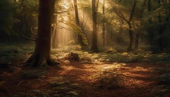 tranquillo sentiero venti attraverso misterioso nebbia nel autunno foresta generato di ai foto