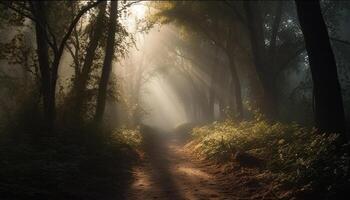 a piedi attraverso il spaventoso foresta, un' mistero nel il fabbricazione generato di ai foto