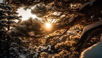 tramonto al di sopra di conifero foresta, neve coperto rami, tranquillo inverno paesaggio generato di ai foto