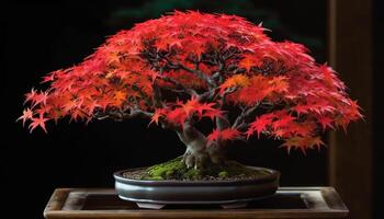 giapponese acero albero nel un' Multi colorato fiore pentola trasuda eleganza generato di ai foto