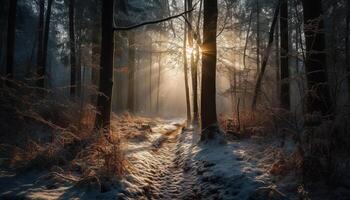 tranquillo sentiero venti attraverso misterioso inverno foresta, bellezza abbonda generato di ai foto