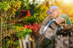 contento giardiniere e il suo giardino foto