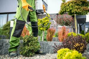 giardino impianti disinfestazione trattamento foto