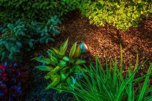 giardino individuare illuminazione foto