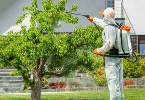 sicuro pesticida applicazione eseguita di professionale giardiniere foto