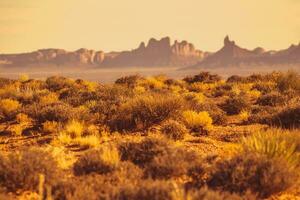 paesaggio del deserto dell'Arizona foto