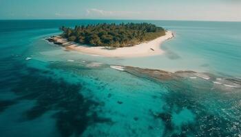 tropicale bellezza nel natura blu acqua, palma alberi generativo ai foto