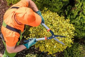 giardiniere modellare impianti foto