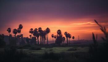 silhouette di palma albero indietro illuminato di arancia tramonto cielo generato di ai foto