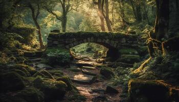 tranquillo foresta sentiero conduce per antico pietra rovinare nel autunno generato di ai foto