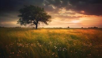 vivace tramonto sagome albero nel idilliaco prato paesaggio scenario generato di ai foto