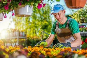 fiori e impianti vendita foto