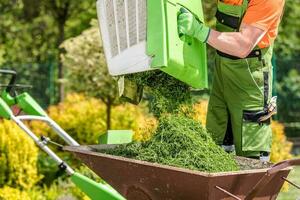 falciatura Giardino dietro la casa erba foto