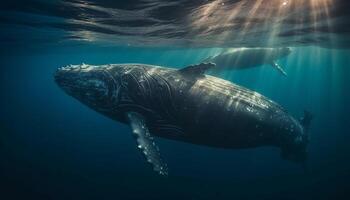 in profondità sotto, gigante gobba balena nuotate maestoso nel tropicale paesaggio marino generato di ai foto