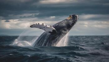 maestoso gigante mammifero violazione, schizzi, coda pinna agitando, balena Guardando generato di ai foto