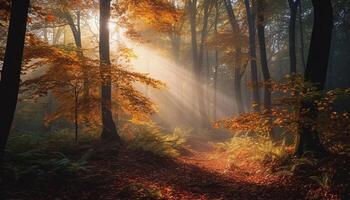 d'oro luce del sole si illumina autunno foresta, un' tranquillo e vivace scena generativo ai foto