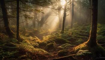 misterioso foresta, nebbioso e sinistro, con un' Fata avventura generativo ai foto