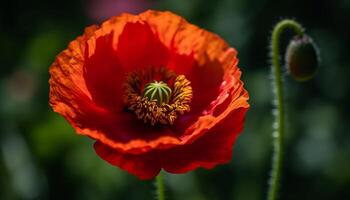 vivace fiori selvatici fioritura nel prato, in mostra natura fragilità e bellezza generato di ai foto