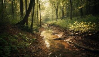 tranquillo scena di natura bellezza nel autunno su sentiero generato di ai foto