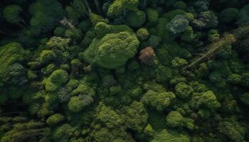 verde le foglie ondeggiare nel subacqueo scogliera, un' naturale bellezza sfondo generato di ai foto