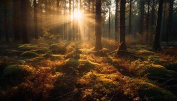 vivace autunno fogliame vernici tranquillo foresta nel Multi colorato bellezza generato di ai foto